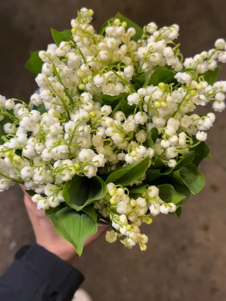 Lily of the valley feature by Bloom Vancouver